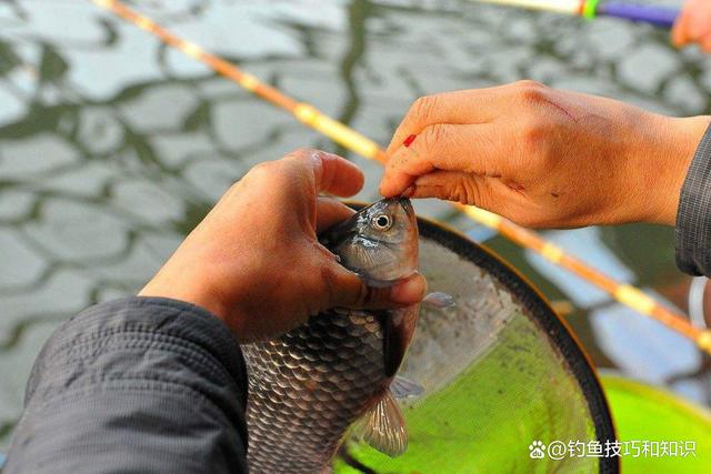 钓鱼用饵16字口诀，好鱼饵这样才能用出效果