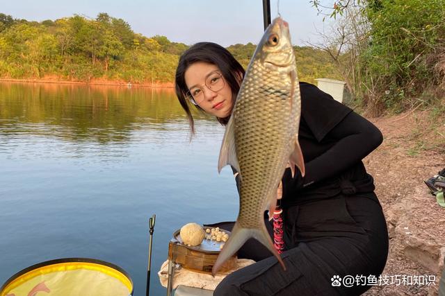 春季钓土鲮用什么鱼饵？春钓土鲮的用饵思路