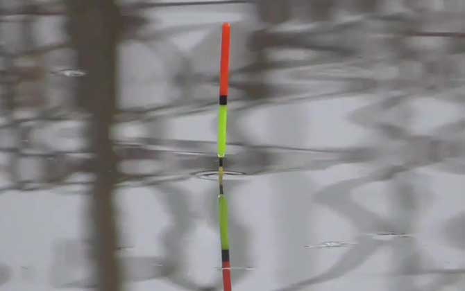 <b>春季钓鱼的技巧和方法</b>