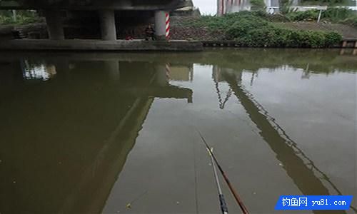 掌握这7条钓鱼技巧 冬季钓鱼不再难