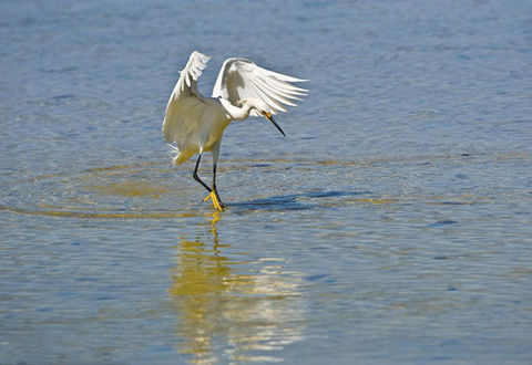 想钓上鱼，得先找到鱼层，分析鱼层浅见一二