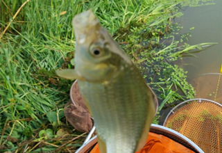 新手钓鱼人容易遇见的7种情况