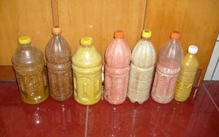 <b>冬钓的10种实用酒米制作方法</b>