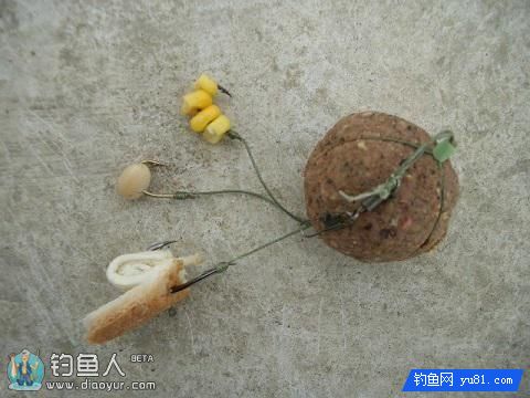 自然大水库用爆炸钩钓鲤鱼的饵料配方
