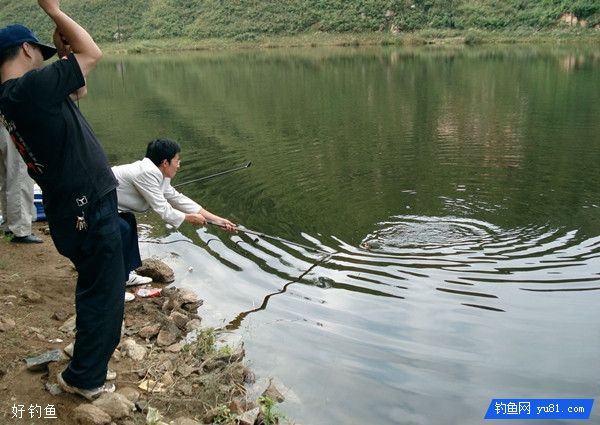 想要垂钓收获好，应知鱼识水
