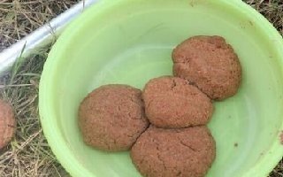 用丁香和桂皮自制垂钓绝配饵料