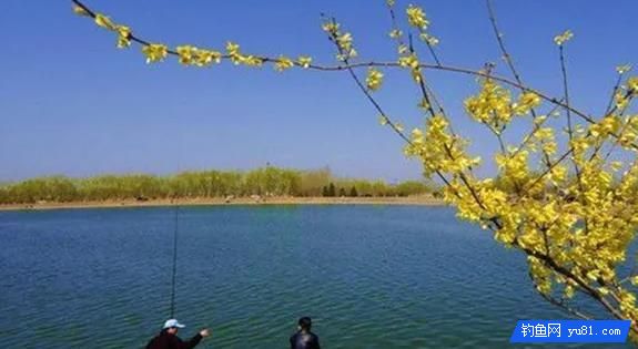 <b>春季水库钓鲤鱼，钓位选择和垂钓技巧跟其他季节大不同</b>