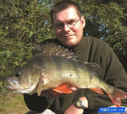 真后悔，现在才知道岸钓鲈鱼不为人知的7个小妙招