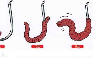 <b>蚯蚓挂钩的五种方法 [图解]</b>