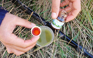 <b>深度解析钓鱼药酒的搭配与使用</b>