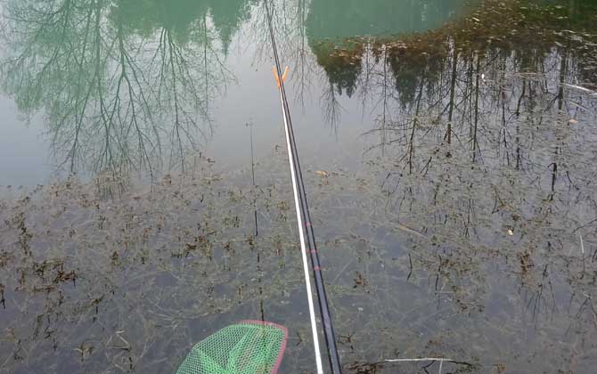 水库钓鱼