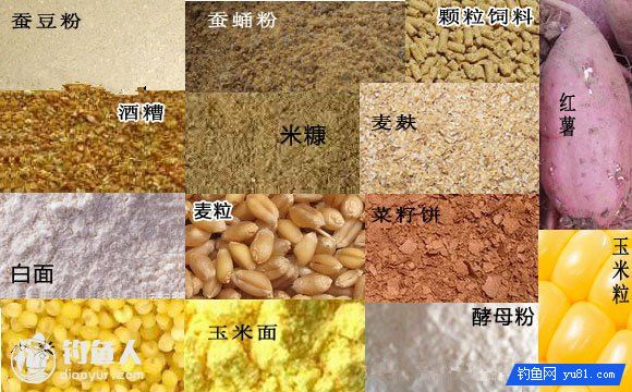 钓青鱼用什么饵料，22种钓黑鲩饵料
