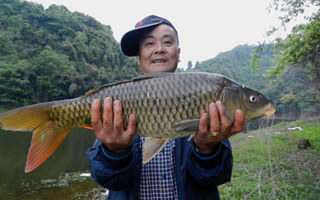 <b>珠珠逗钓大鱼法与牛粪窝饵的制作</b>