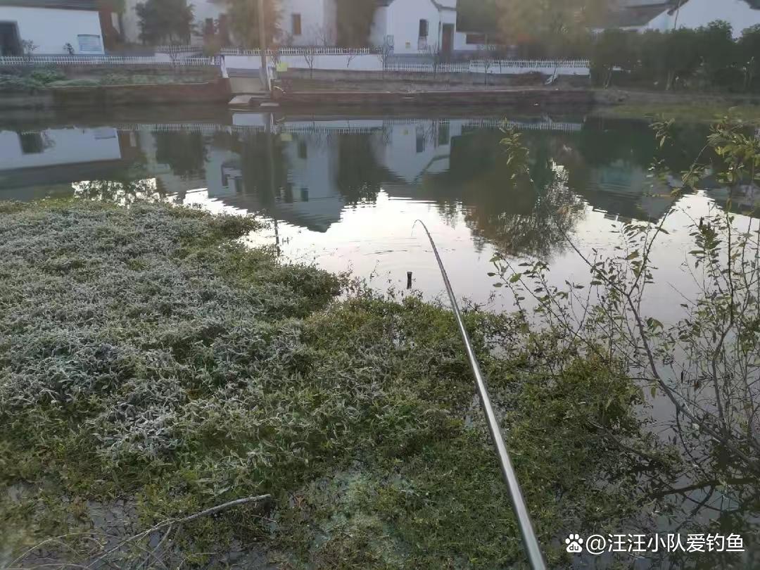 全国各地区常见钓法介绍，有没有钓友所擅长的？