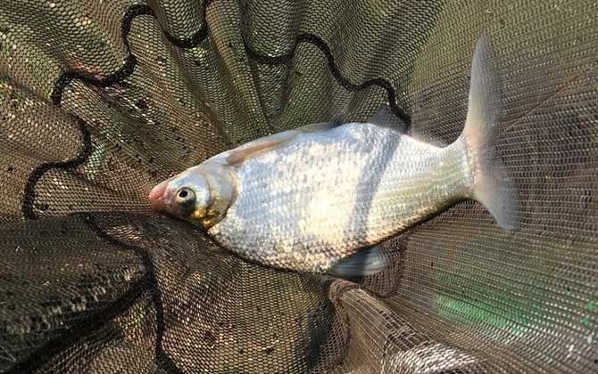 西北风钓鱼最佳钓位和时