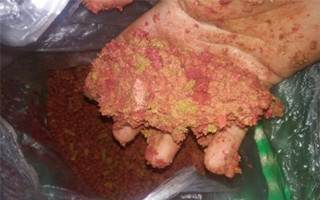 一款简单易做的自制钓大鱼饵料配方