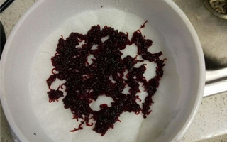 让红虫永葆青春的保养小诀窍