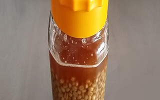 图文分享自制钓麦饵料春