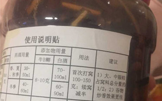 分享新手春季钓鲫鱼的秘制酒米配方