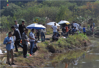<b>钓鲫鱼鲤鱼草鱼的大水面通杀饵配方</b>
