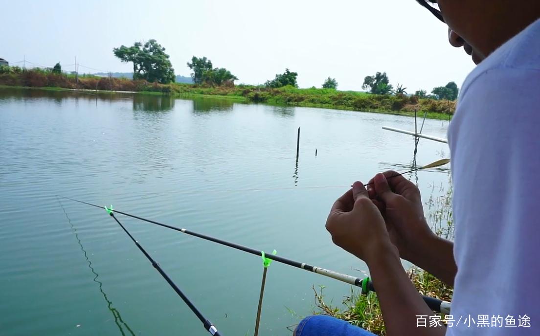 野钓鲫鱼该调几钓几？三种方案应对所有鱼情，这套思路钓王都在用