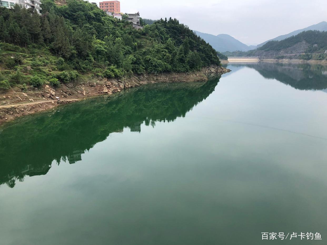 钓鲫鱼用什么饵料好？分清这几点不空军