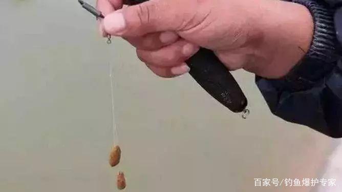 钓鲫鱼，用什么饵料最好钓？
