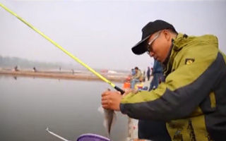<b>手竿钓鳊鱼的一些技巧分析</b>