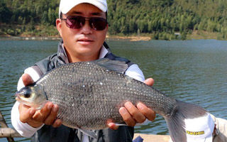 <b>钓鳊鱼的4类饵料与一实战钓法</b>
