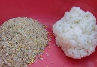 教你制作米饭饵料，避小