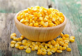 <b>分享三款自制鱼饵，钓草鱼必备</b>