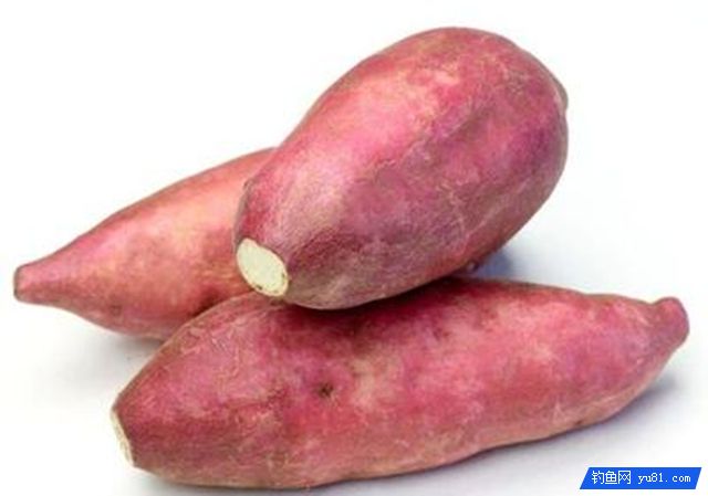 鲤鱼饵料 鲤鱼饵料