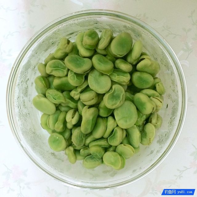 蚕豆做鱼饵的制作方法与打窝要点 蚕豆做鱼饵的制作方法与打窝要点