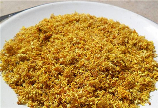 根据季节、场合、目标与来确定钓鱼小药