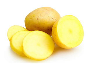 <b>秋季钓草鱼的三款饵料配方与使用</b>