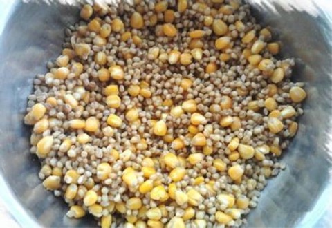 这款鲤鱼窝料适合湖泊水库等水深野钓