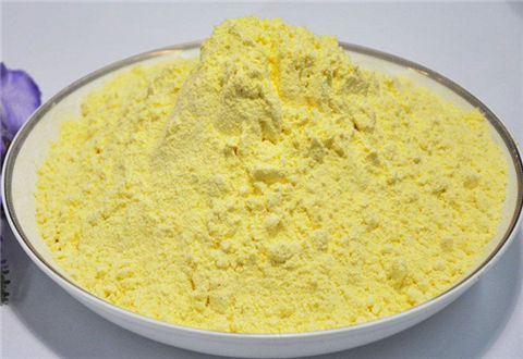 玉米面钓鱼饵料制作，钓鲤鱼很有用