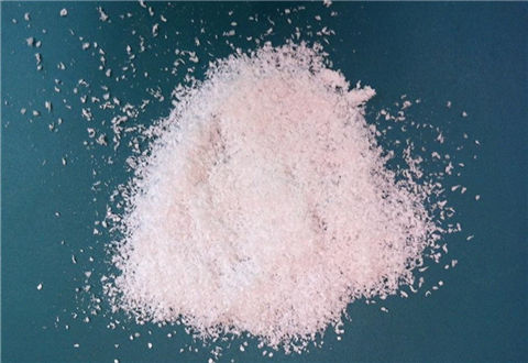 雪花粉有什么用？这些开饵技巧助你大鲫大鲤