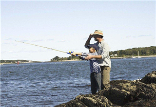 钓鲤鱼除了怎么搭配鱼饵，还应该知道什么技巧