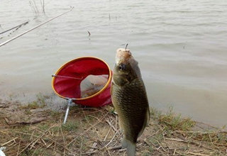 <b>不同水况的打窝技巧和打窝方式</b>