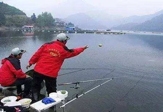 不同对象鱼的打窝饵料和打窝方法