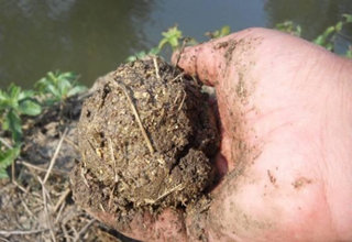 <b>大型水库、竞技黑坑的打窝技巧</b>